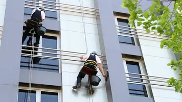 Gebäudereinigung Egelsbach Fehler